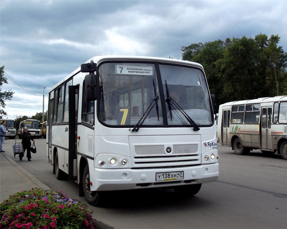 Ленинградская область, ПАЗ-320402-05 № 202