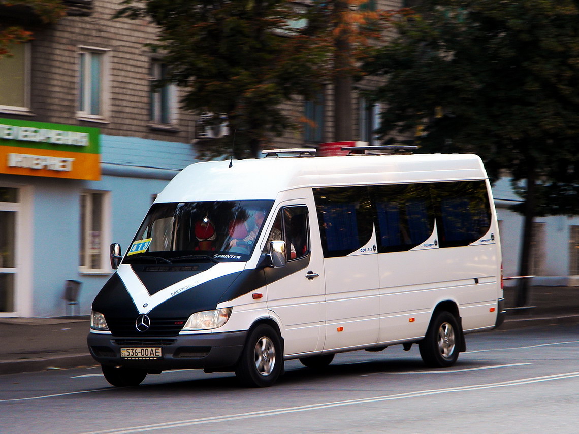 Днепропетровская область, Mercedes-Benz Sprinter W903 313CDI № 536-00 АЕ