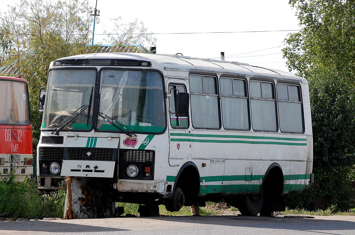 Омская область, ПАЗ-3205 (00) № О 184 ЕН 55