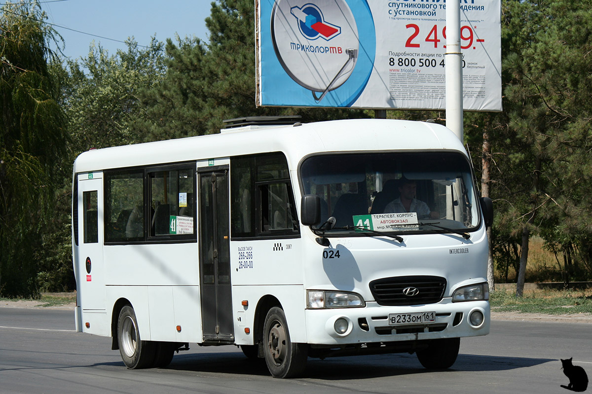 Ростовская область, Hyundai County LWB C11 (ТагАЗ) № 024