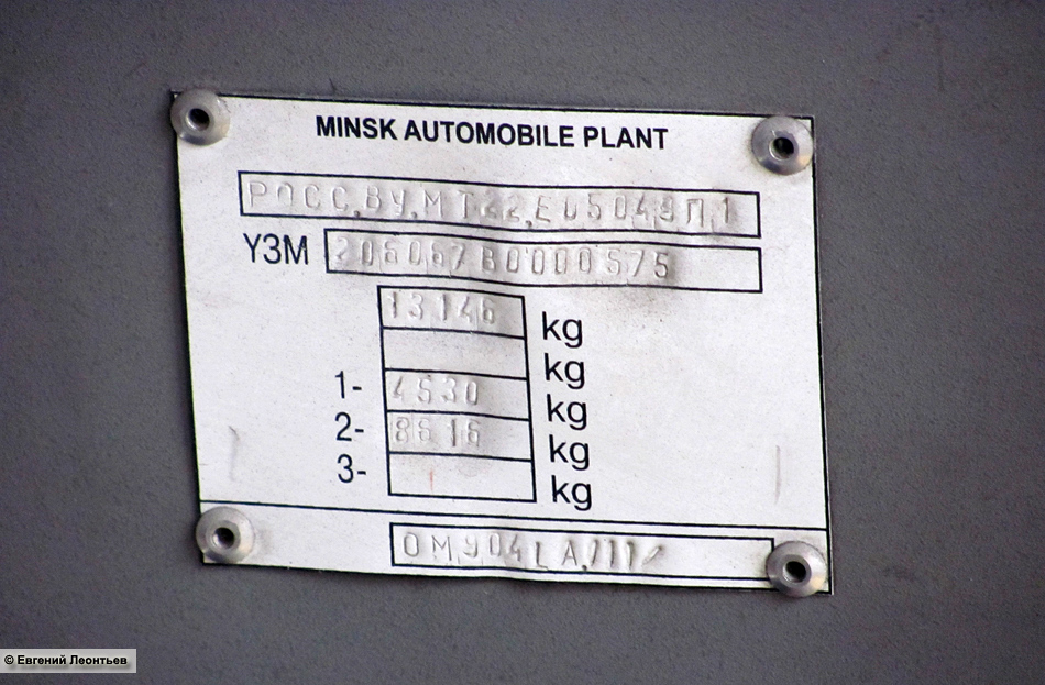 Самарская область, МАЗ-206.067 № ЕВ 693 63