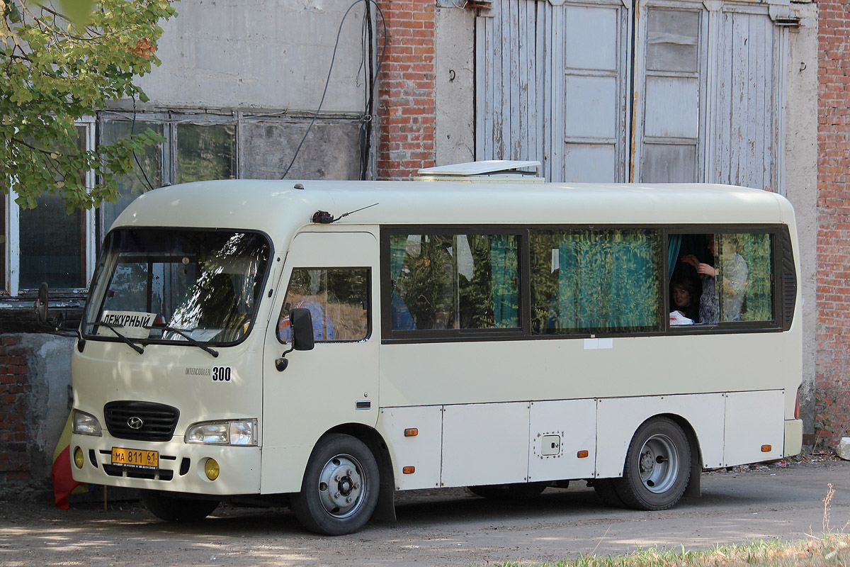 Ростовская область, Hyundai County SWB C08 (РЗГА) № 300