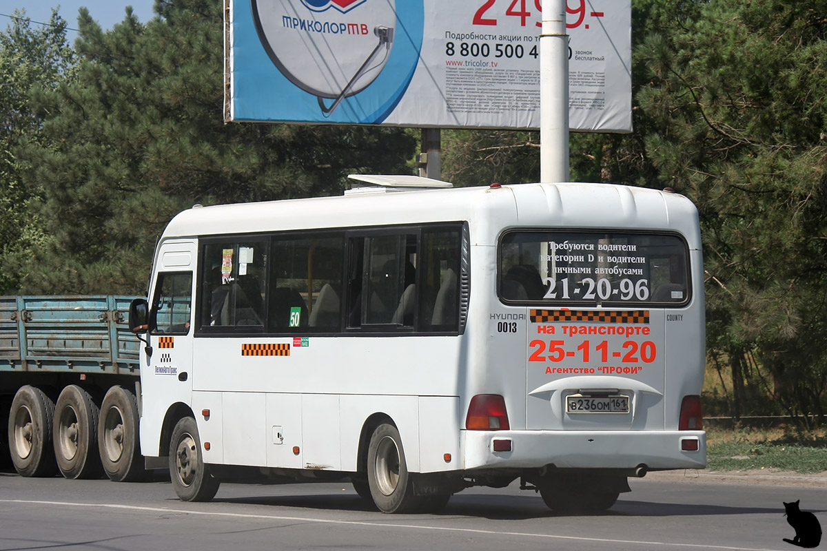 Ростовская область, Hyundai County LWB C11 (ТагАЗ) № 0013