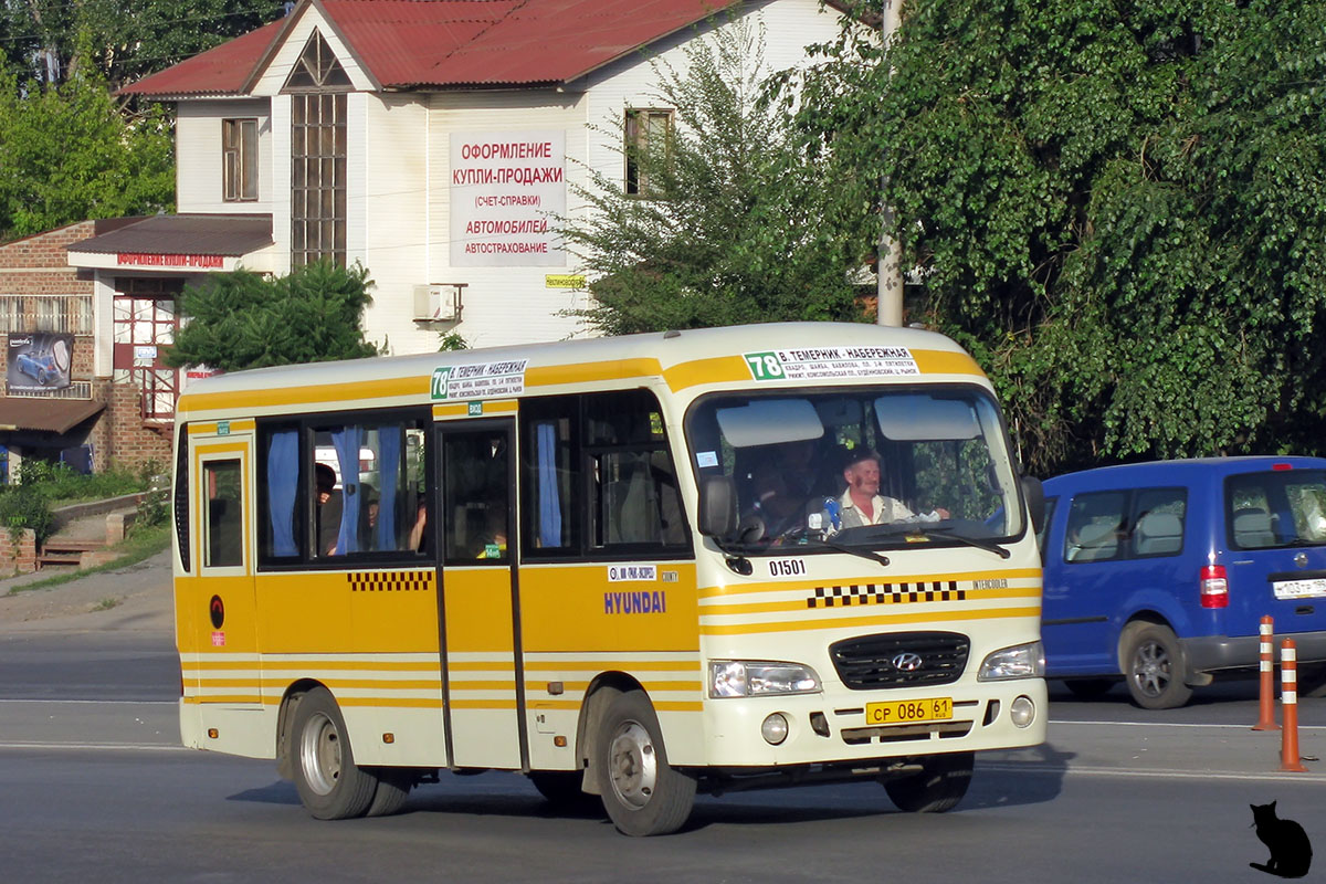 Ростовская область, Hyundai County SWB (РЗГА) № 01501