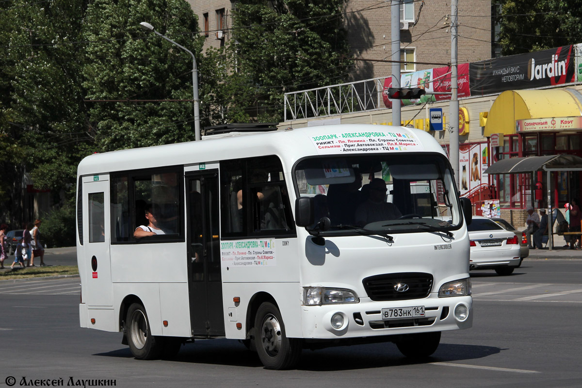 Ростовская область, Hyundai County SWB C08 (ТагАЗ) № В 783 НК 161