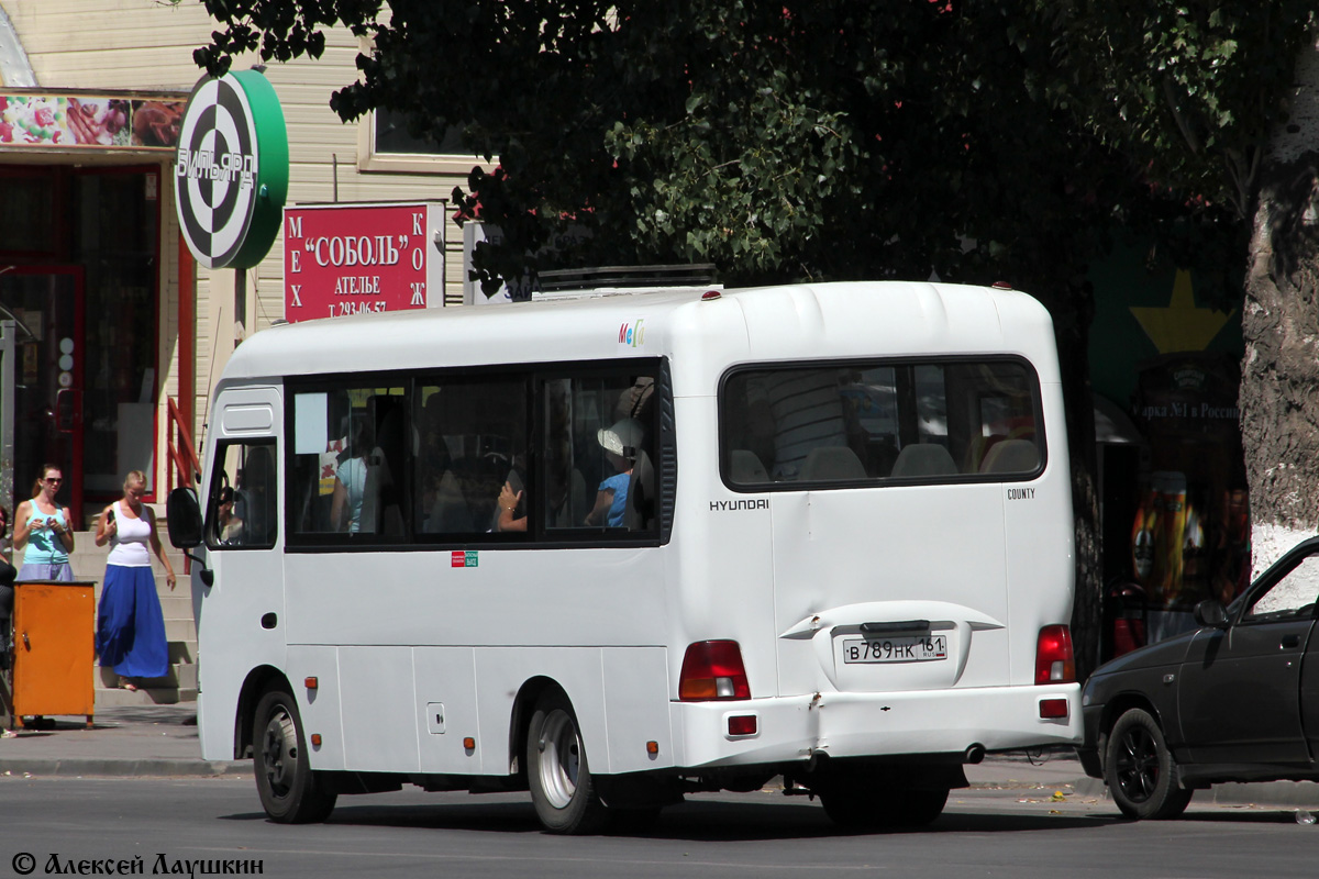 Ростовская область, Hyundai County SWB C08 (ТагАЗ) № В 789 НК 161