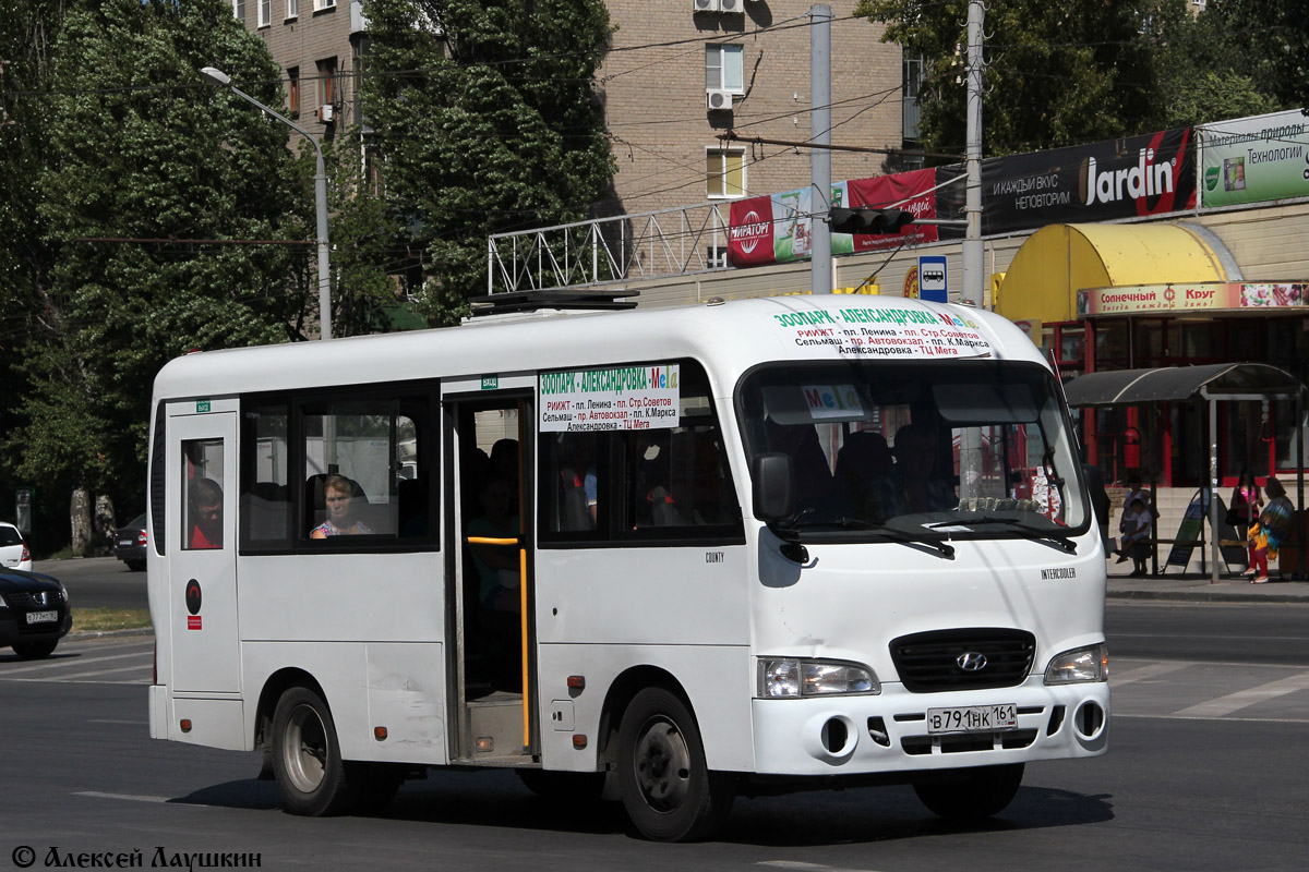 Ростовская область, Hyundai County SWB C08 (ТагАЗ) № В 791 НК 161