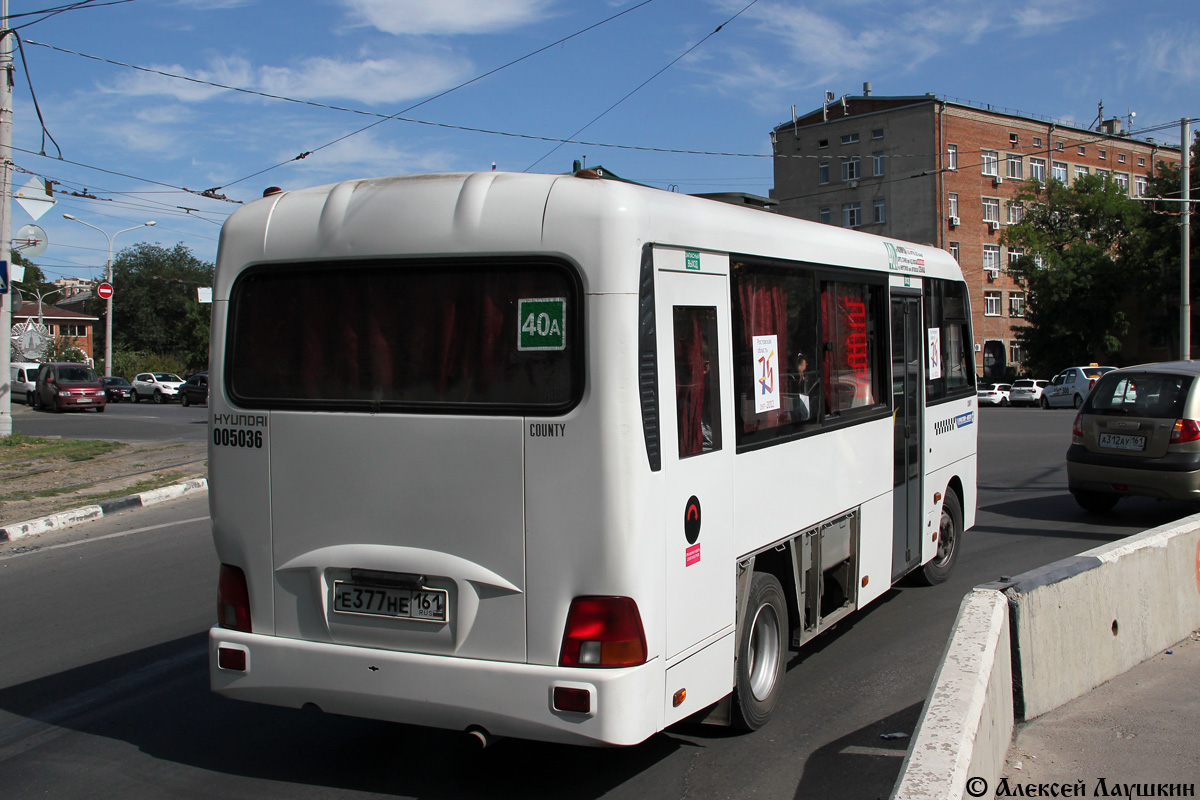 Ростовская область, Hyundai County LWB C09 (ТагАЗ) № 005036