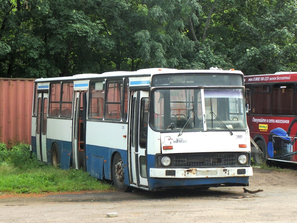 Санкт-Петербург, Ikarus 263.10 № 3101