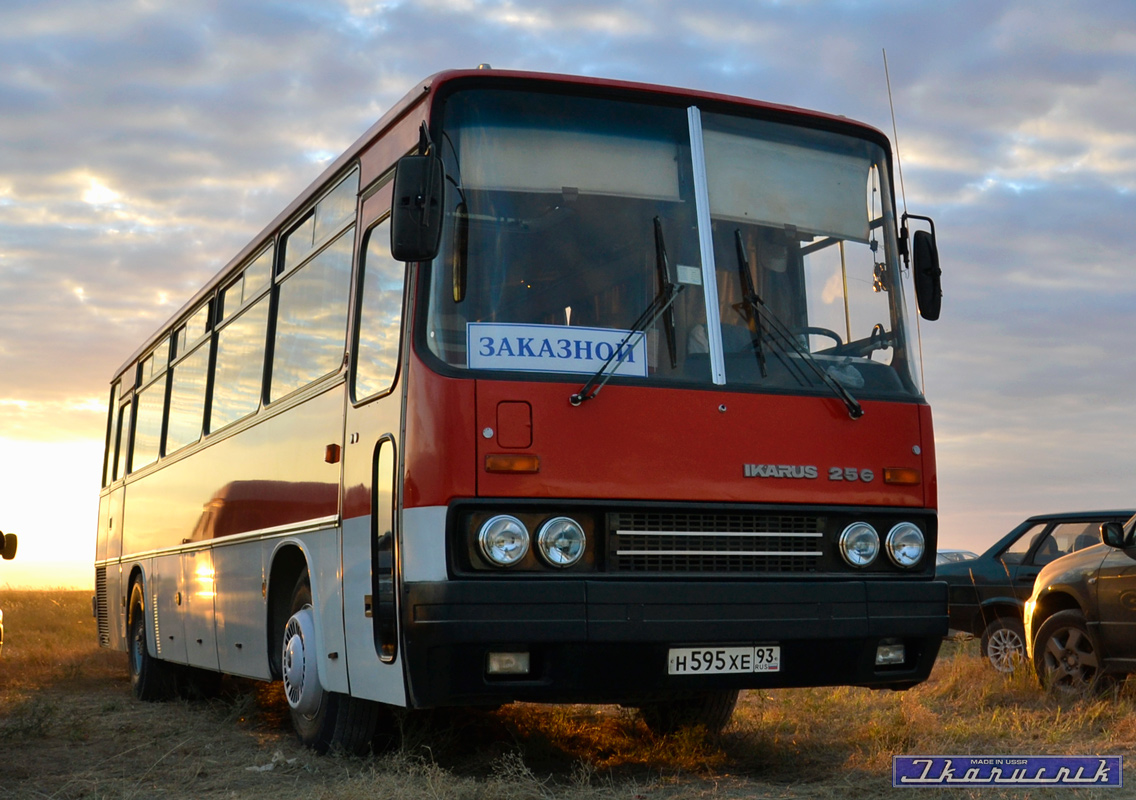 Краснодарский край, Ikarus 256.74 № Н 595 ХЕ 93 — Фото — Автобусный  транспорт