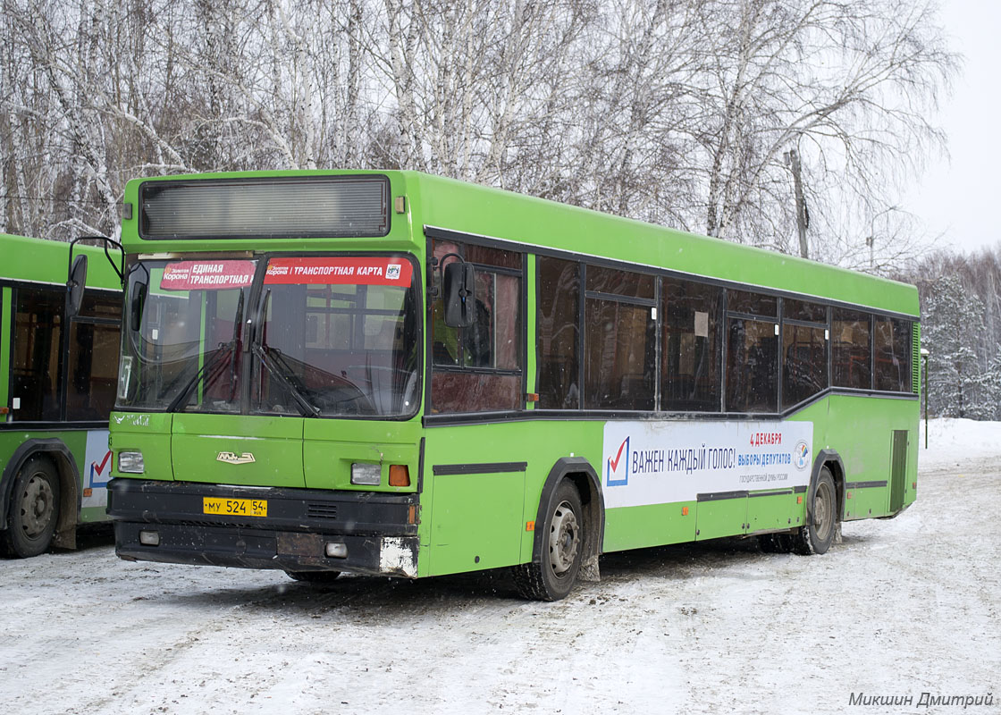 Новосибирская область, МАЗ-104.021 № 3243