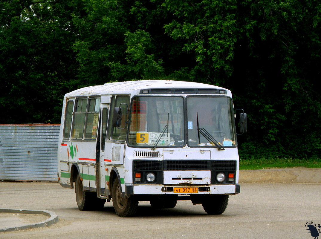 Нижегородская область, ПАЗ-3205-110 № 12