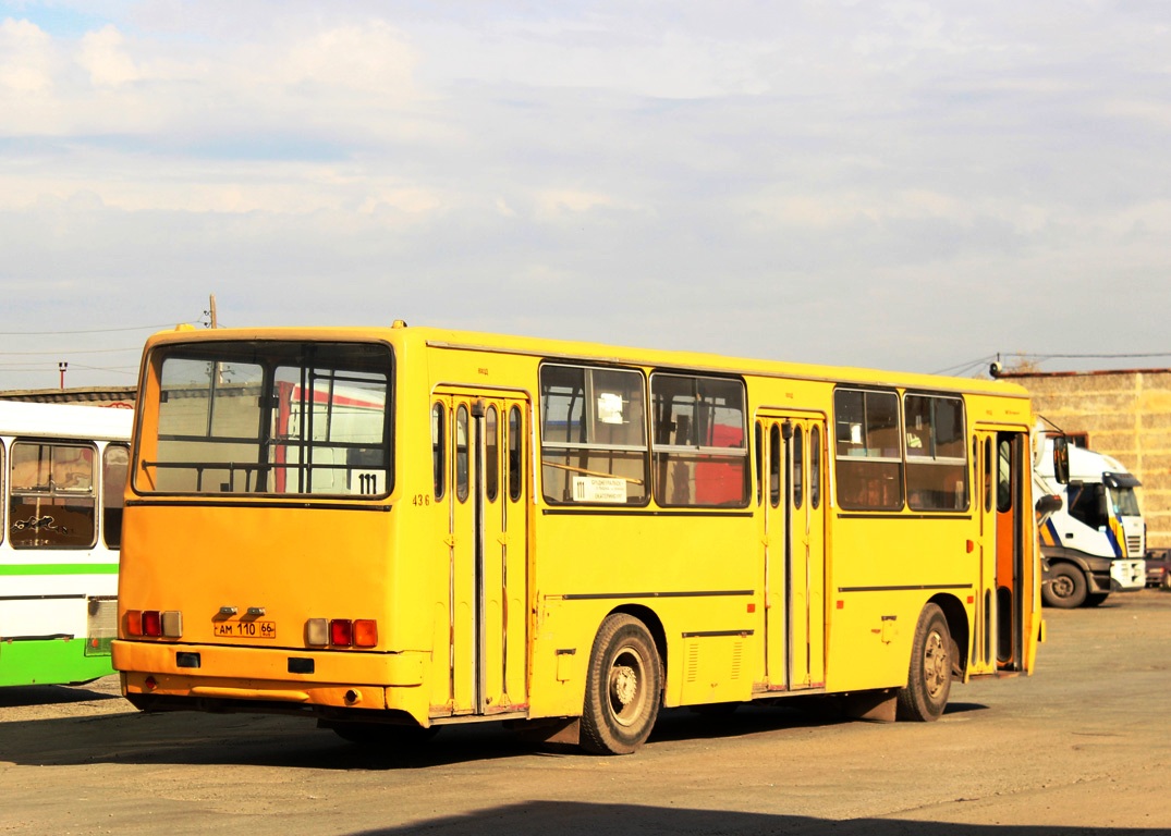 Свердловская область, Ikarus 260.50 № 436