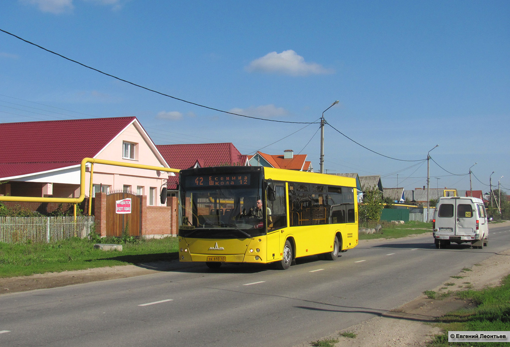 Самарская область, МАЗ-206.067 № ЕВ 693 63