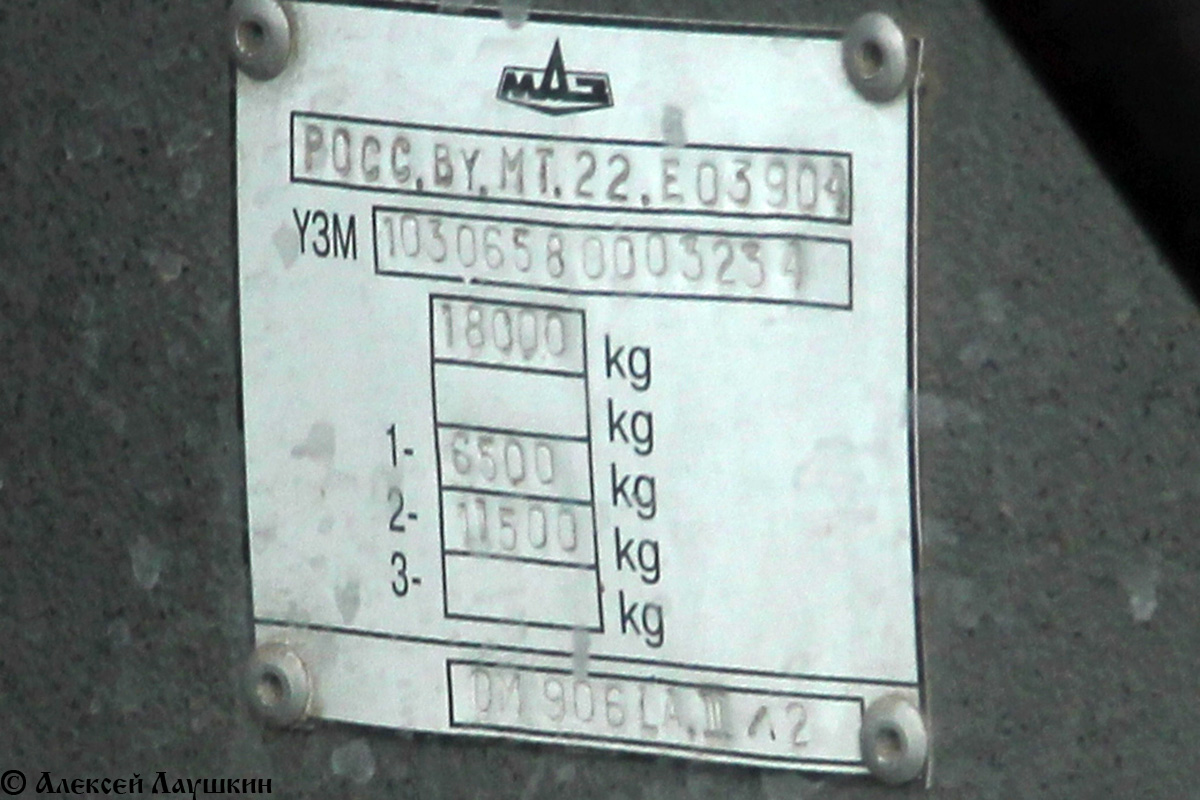 Ростовская область, МАЗ-103.065 № 705