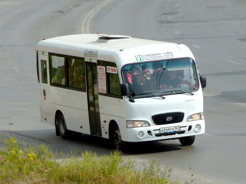 Ростовская область, Hyundai County LWB C09 (ТагАЗ) № А 244 РА 161