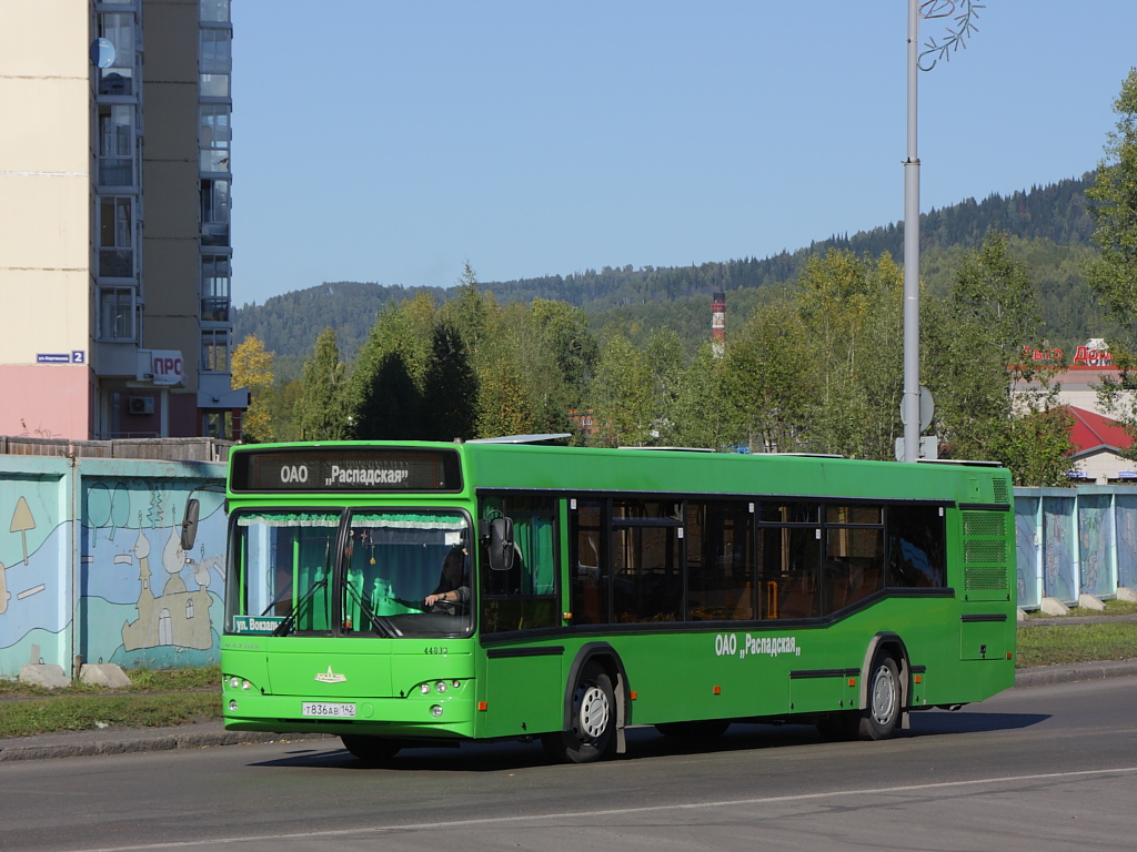 Кемеровская область - Кузбасс, МАЗ-103.462 № 44833