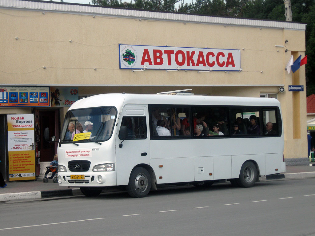 Краснодарский край, Hyundai County LWB C11 (ТагАЗ) № КХ 391 23 — Фото —  Автобусный транспорт