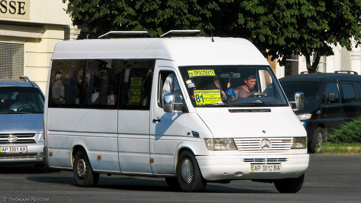 Zaporozhye region, Mercedes-Benz Sprinter W903 310D Nr. AP 3012 BA