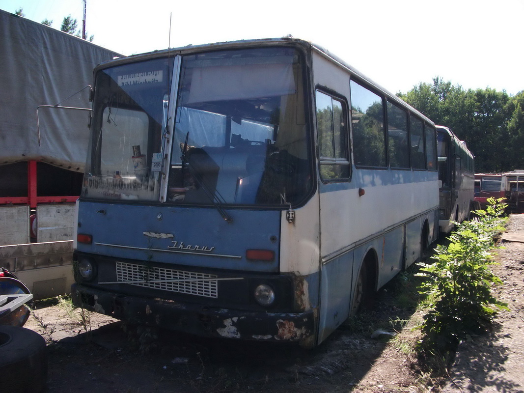 Магілёўская вобласць, Ikarus 211.51 № б/н