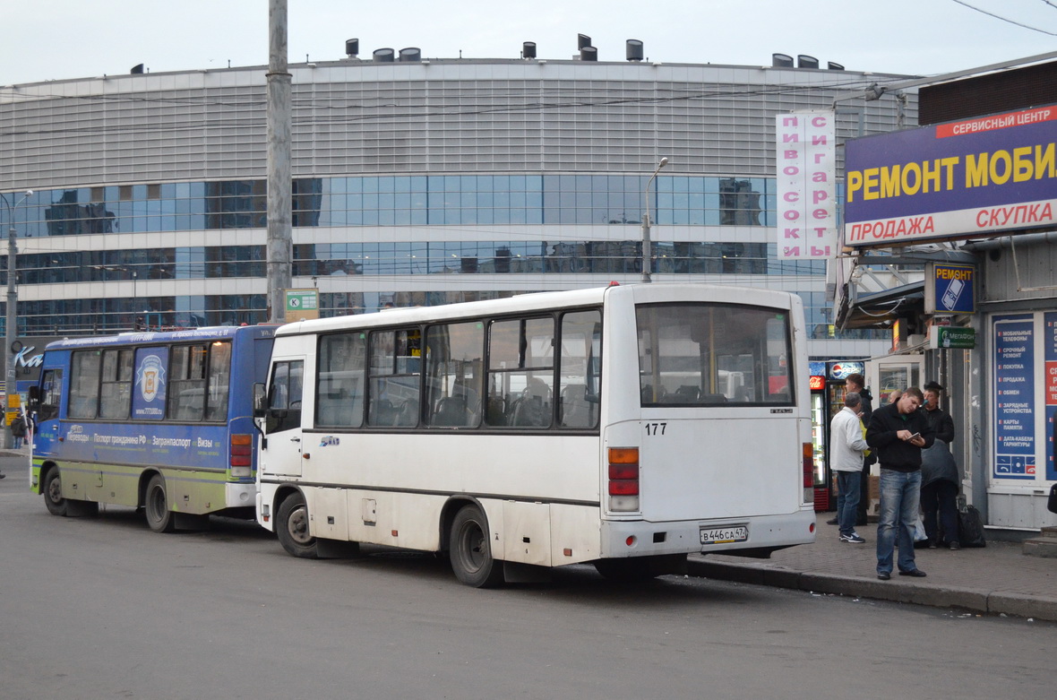 Санкт-Петербург, ПАЗ-320402-03 № 177