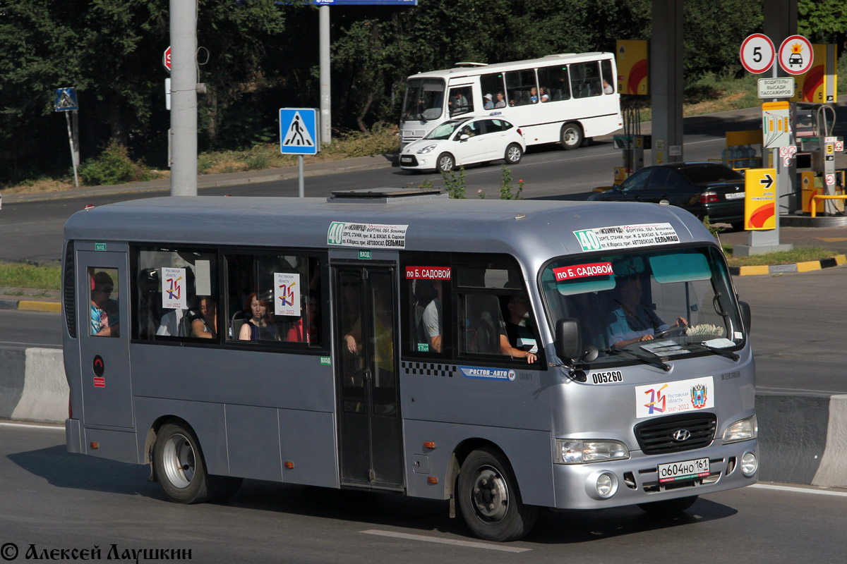 Ростовская область, Hyundai County LWB C09 (ТагАЗ) № 005260