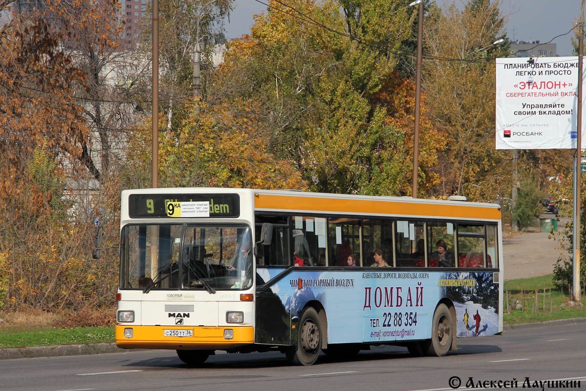 Воронежская область, MAN 791 SL202 № С 250 ТТ 36