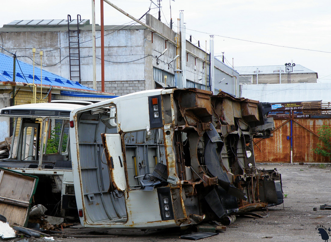 Нижегородская область — Автобусы без номеров