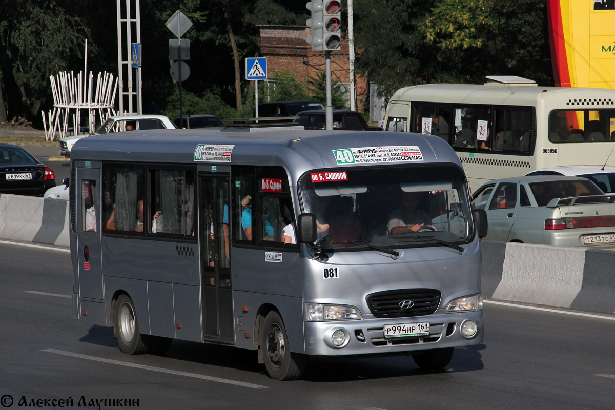 Ростовская область, Hyundai County LWB C09 (ТагАЗ) № 081