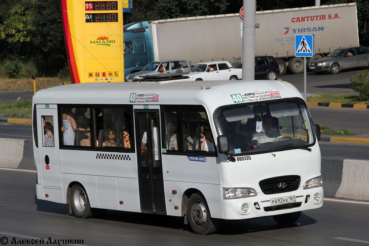 Ростовская область, Hyundai County LWB C10 (ТагАЗ) № 005135