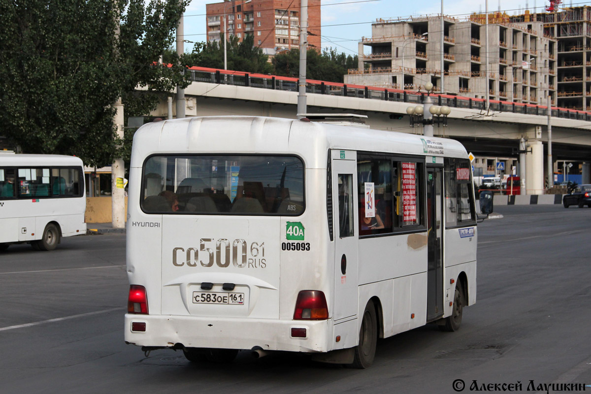 Ростовская область, Hyundai County LWB C11 (ТагАЗ) № 005093