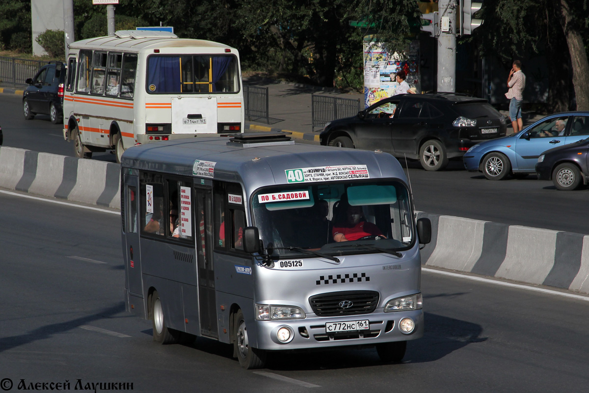 Ростовская область, Hyundai County LWB C09 (ТагАЗ) № 005125