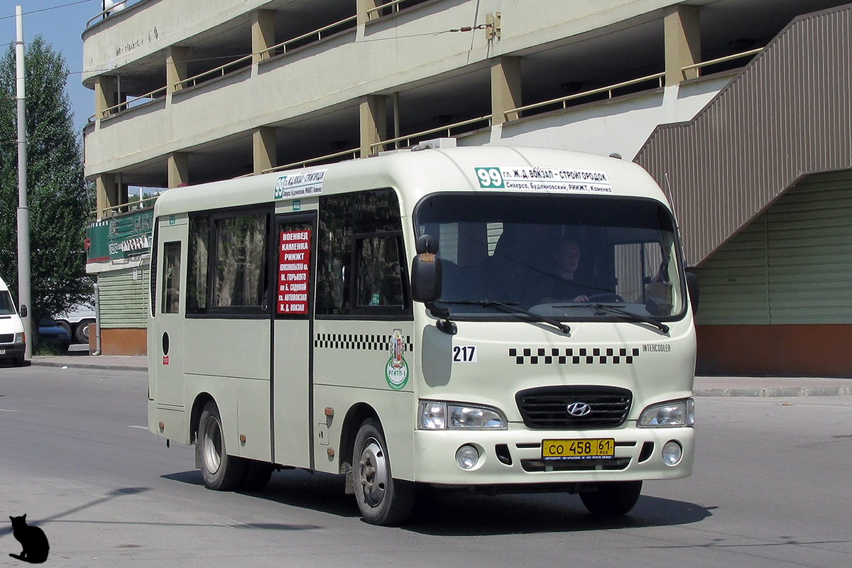 Ростовская область, Hyundai County SWB C08 (РЗГА) № 217