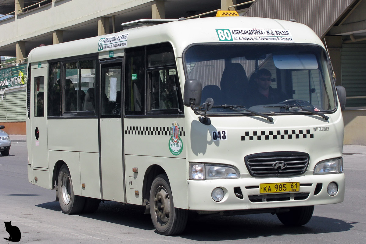 Ростовская область, Hyundai County SWB C08 (РЗГА) № 043