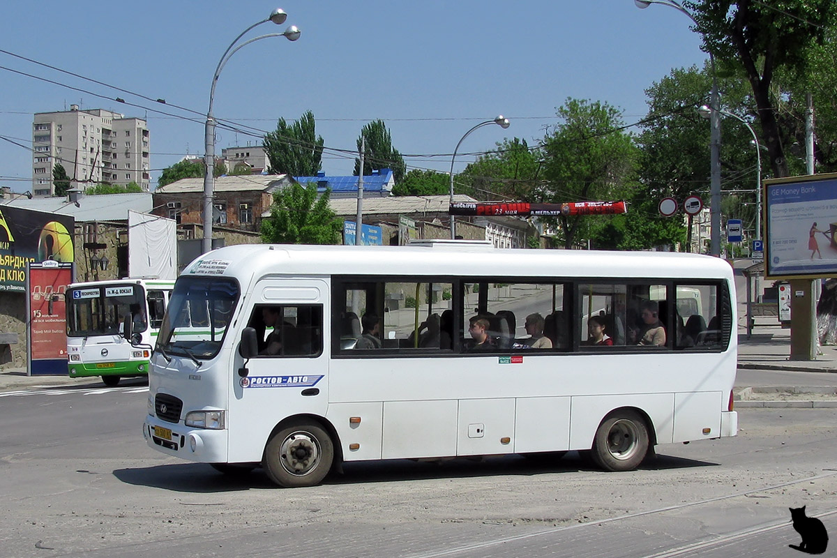 Ростовская область, Hyundai County LWB C11 (ТагАЗ) № 005419