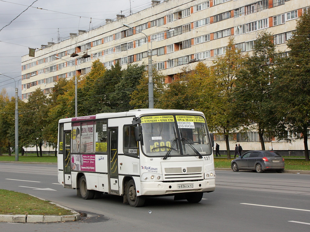 Санкт-Петербург, ПАЗ-320402-03 № 137