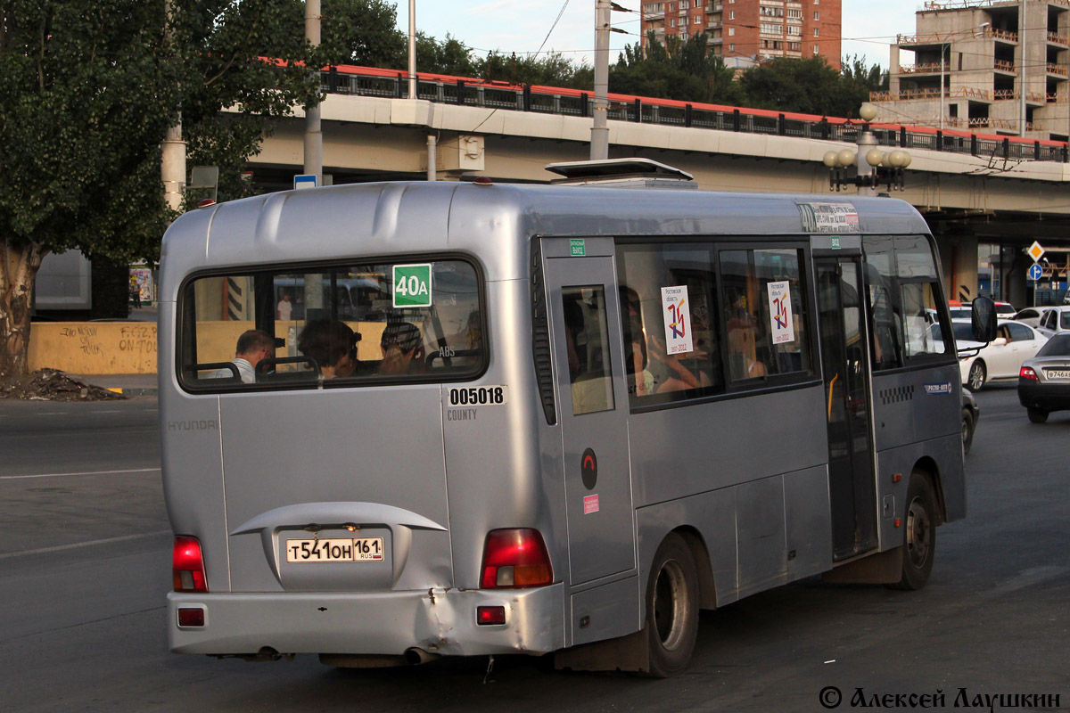 Ростовская область, Hyundai County LWB C09 (ТагАЗ) № 005018