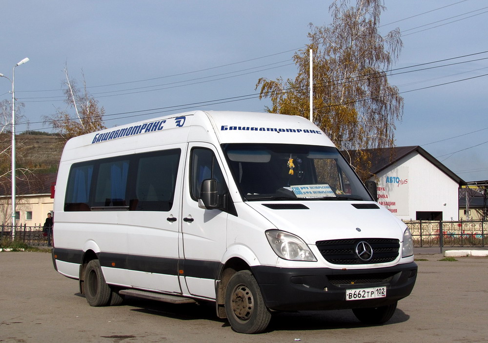 Башкортостан, 906.655 (Mercedes-Benz Sprinter 515CDI) № 5521