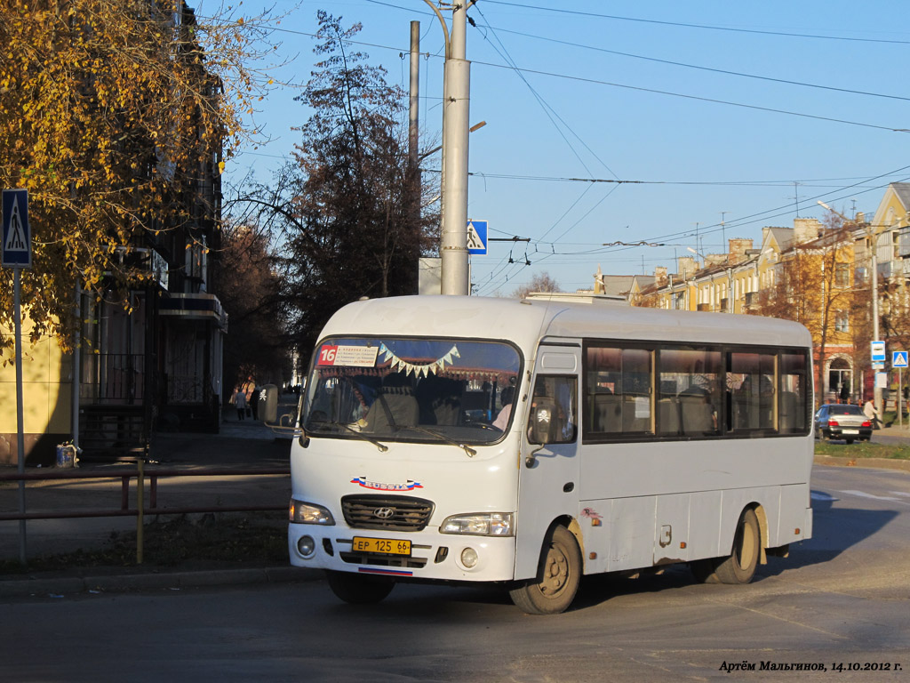 Свердловская область, Hyundai County LWB (ТагАЗ) № ЕР 125 66