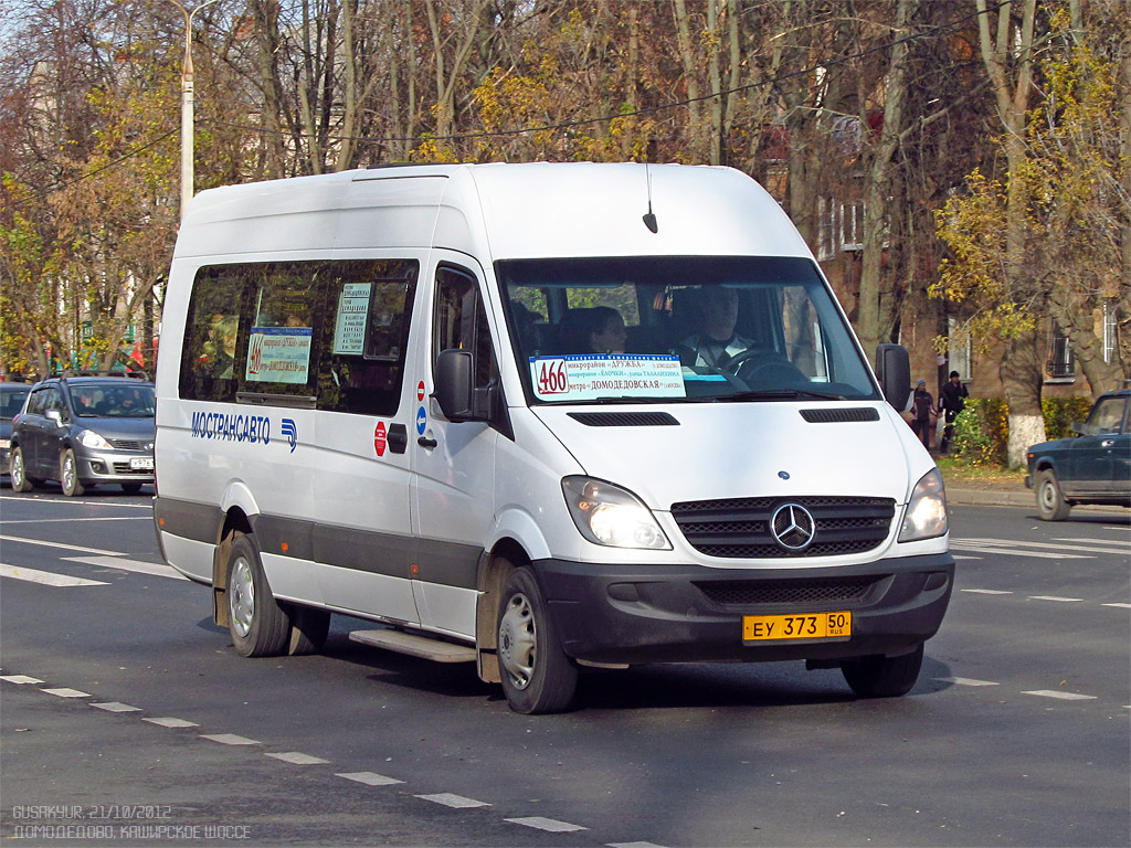 Московская область, Луидор-22340C (MB Sprinter 515CDI) № 0461