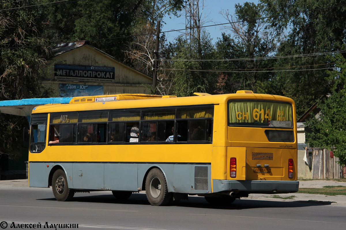 Ростовская область, Hyundai AeroCity 540 № 407