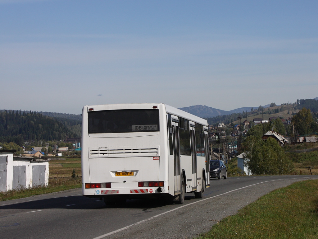 Kemerovo region - Kuzbass, NefAZ-5299-10-33 Nr. 13