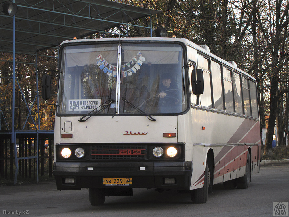 Новгородская область, Ikarus 250.59 № 19