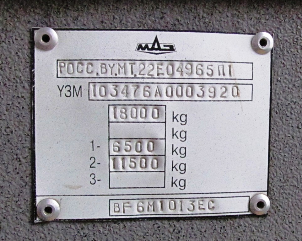 Пермский край, МАЗ-103.476 № Т 894 КВ 59