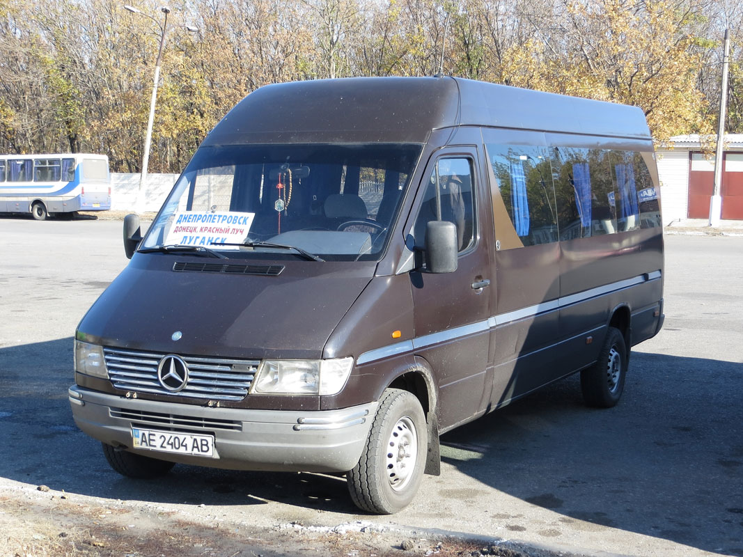 Днепропетровская область, Mercedes-Benz Sprinter W903 310D № AE 2404 AB