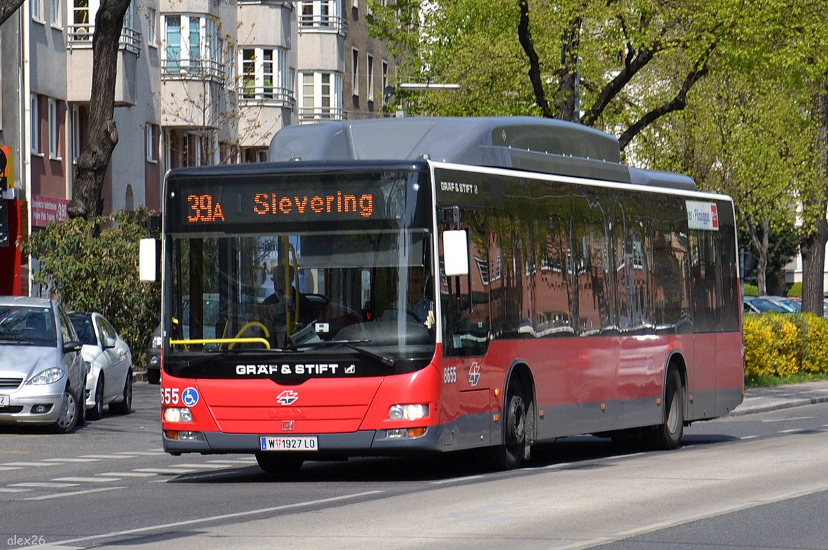 Австрия, MAN A21 Lion's City NL273 LPG № 8655