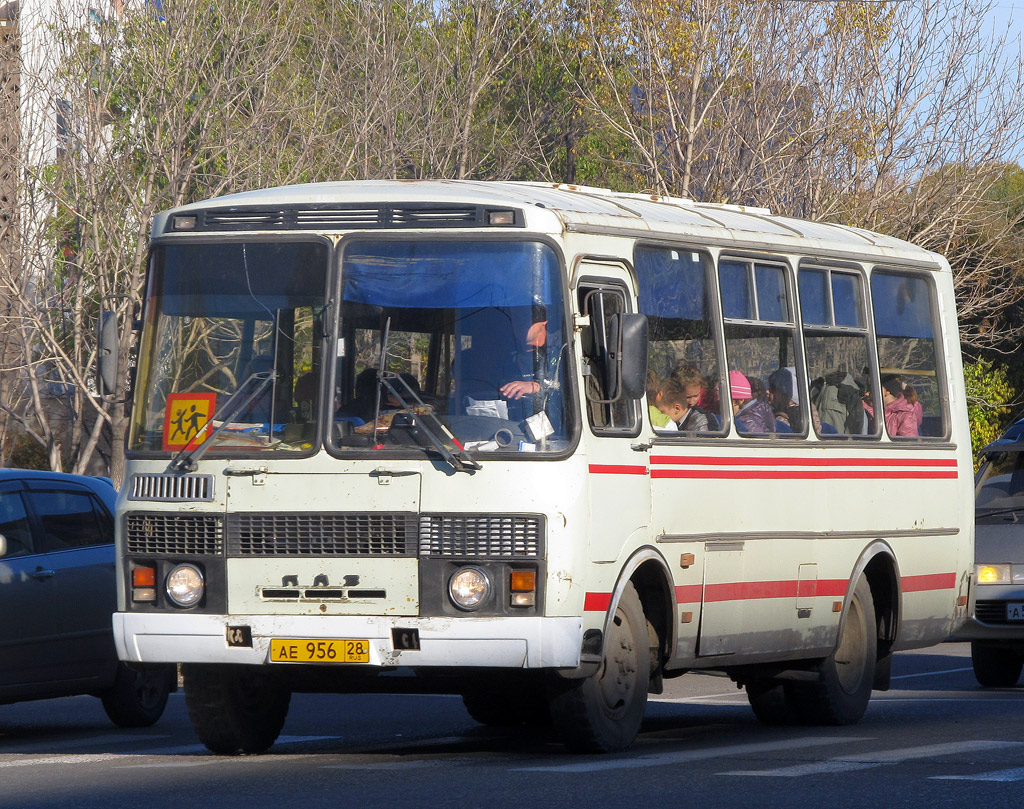 Амурская область, ПАЗ-3205 (00) № АЕ 956 28