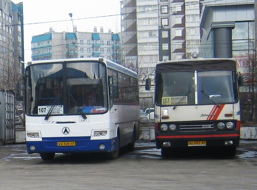 Красноярский край, Ikarus 250 № АС 027 24; Красноярский край, ЛиАЗ-5256.23-01 (ГолАЗ) № ЕВ 309 24