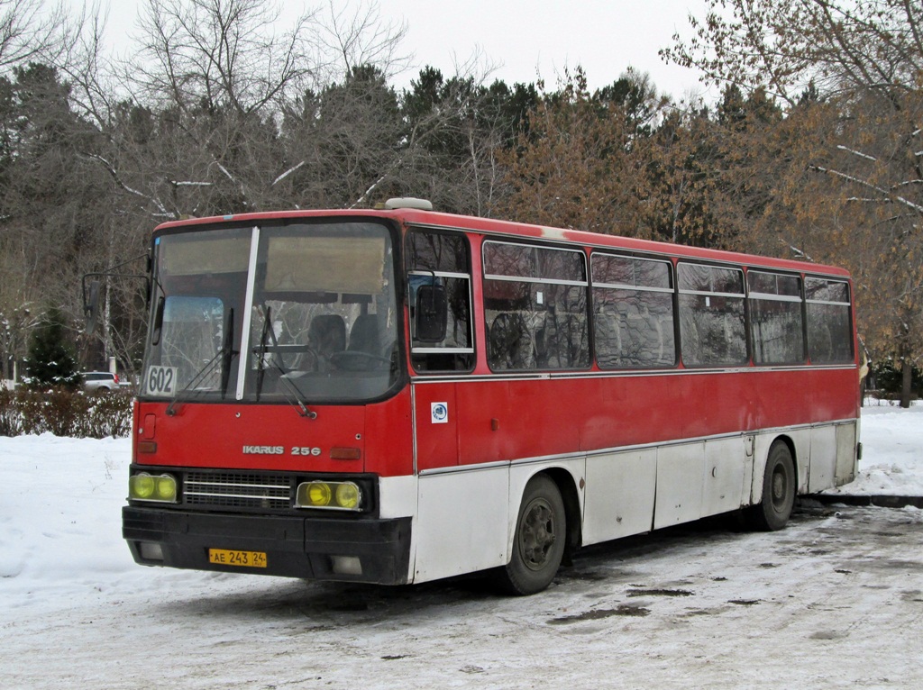 Красноярский край, Ikarus 256.74 № АЕ 243 24