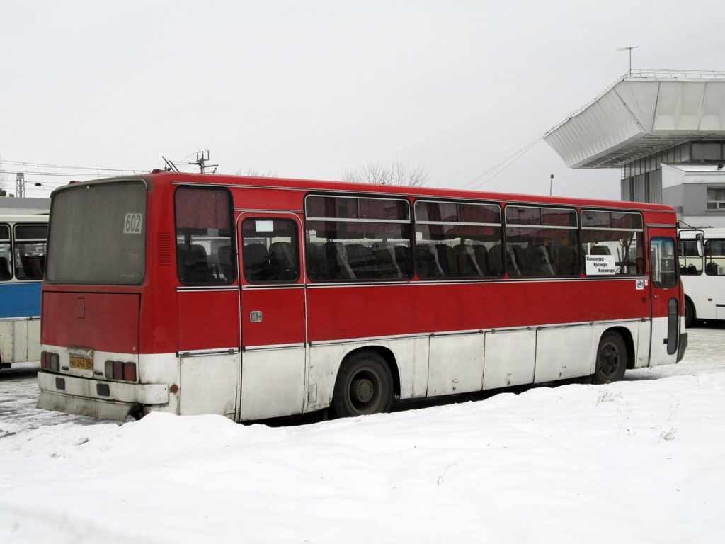 Красноярский край, Ikarus 256.74 № АЕ 243 24